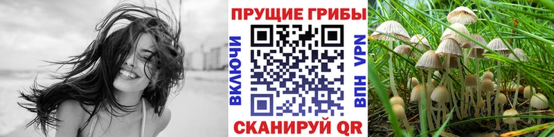 Галлюциногенные грибы MAGIC MUSHROOMS  Армянск 